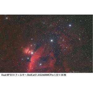 干渉フィルター Dual BP EX II フ...の詳細画像4