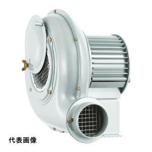 昭和 電動送風機 汎用シリーズ(0.04kW) 設置型 送風機 [SB-151] SB151 販売単位：1 送料無料｜loupe