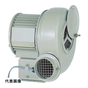 昭和 電動送風機 汎用シリーズ(0.04kW) 設置型 送風機 [SF-55S] SF55S 販売単位：1 送料無料｜loupe