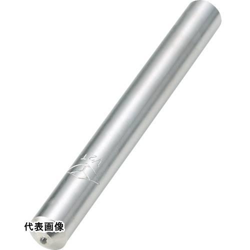 TRUSCO トラスコ中山 単石ダイヤモンドドレッサー 100X12 1/2clt [TDD-12-...