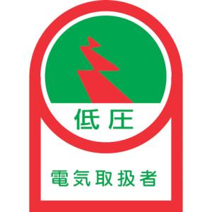 緑十字 ヘルメット ステッカー 10枚の高価買取価格