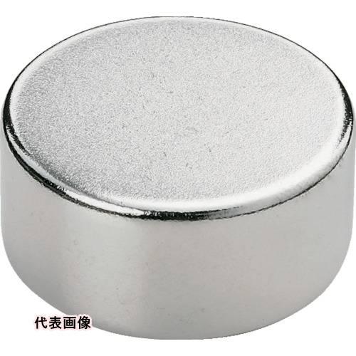 TRUSCO トラスコ中山 ネオジム磁石 丸形 外径12mmX厚み2mm 1個入 [TN12-2R-...