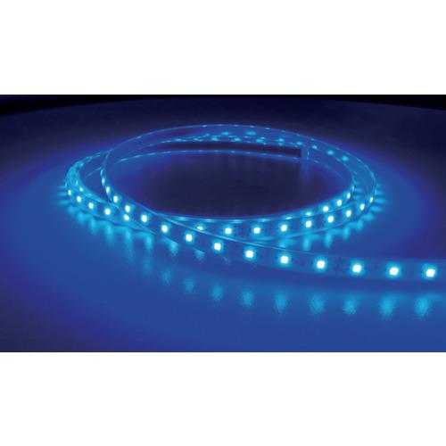 トライト LEDテープライト Viewdi Plus DC24V 16.6mmP 青色 2m巻 [T...