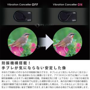 双眼鏡 防振双眼鏡 ビクセン 12倍 ATER...の詳細画像4