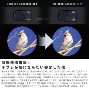 双眼鏡 防振双眼鏡 ビクセン 14倍 ATER...の詳細画像4