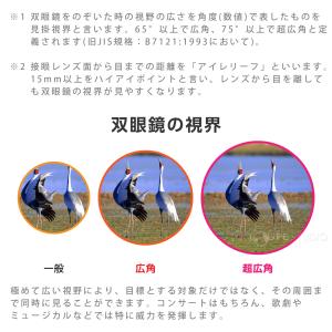 双眼鏡 観劇 舞台用 10倍 超広角 軽量 オ...の詳細画像4