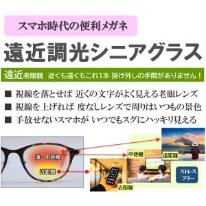 ハックベリー HACKBERRY 遠近調光シニ...の詳細画像4