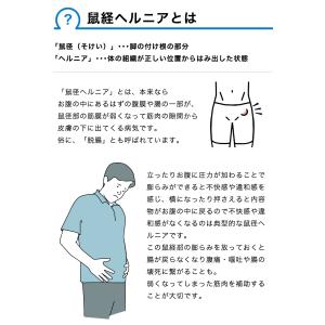 ヘルニアベルト 脱腸 鼠径 サポート 脱腸帯 ...の詳細画像2