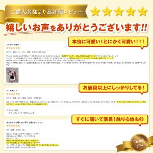 iPhone17 Pro Max ケース iP...の詳細画像1