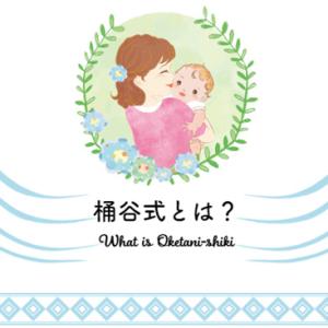 送料無料 2個セット ピジョン 桶谷式直接授乳...の詳細画像4