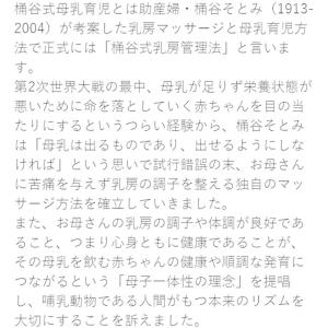 送料無料 2個セット ピジョン 桶谷式直接授乳...の詳細画像5