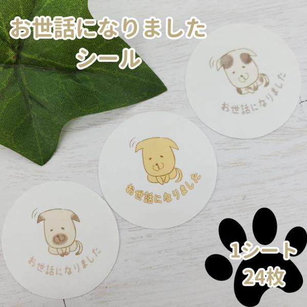 お世話になりました シール いぬ 24枚 ギフト かわいい