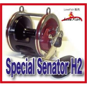 クエ釣りにはc.オススメです！High Speed Gear3.25:1仕様！PENN Special Senator6/0 114H2LW Pinion Yoke (Stainless Steel, CUSTOM)｜lovefish