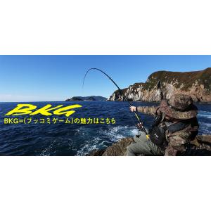 DAIWA（釣り） ダイワ 24 バトルゲーム BKG (ブッコミゲーム) T