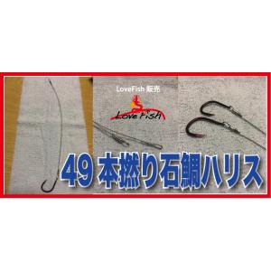49本撚りベニガゼ石鯛プロハリスlovefish｜lovefish