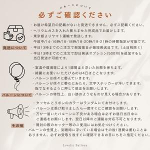 【浮く風船+サブバルーン2個set】全24カラ...の詳細画像5