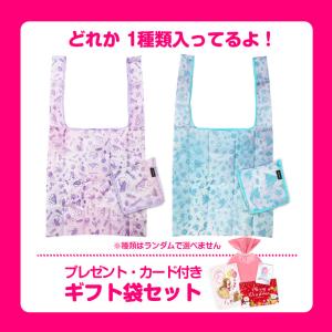 【限定】エコバッグ付き【ギフト袋+特典付】ディ...の詳細画像1