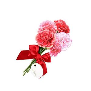 グリーティングライフ 寄せ書き カード メッセージギフトブーケ カーネーション BS-25