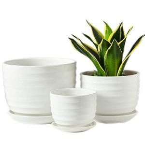 白い植木鉢の商品一覧 通販 Yahoo ショッピング