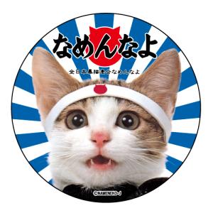 なめ猫(なめんなよ)缶バッジ4の商品画像