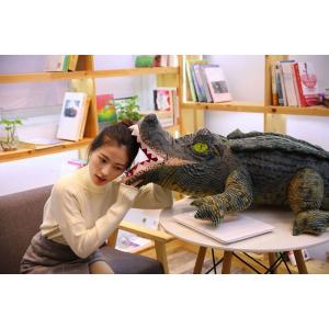 ワニ 動物園の商品一覧 通販 Yahoo ショッピング