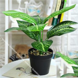 浴室 観葉植物 造花の商品一覧 通販 Yahoo ショッピング