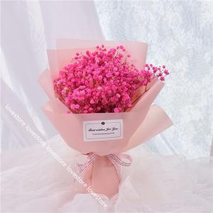 ドウダンツツジ プリザーブドフラワー の商品一覧 花 ガーデニング 通販 Yahoo ショッピング