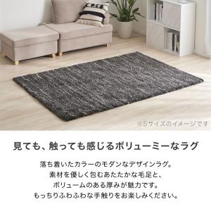ラグ 200×200 アンダーラグセット カー...の詳細画像2