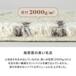 玄関マット 玄関ラグ ラグ フリンジ付き 50...の詳細画像5