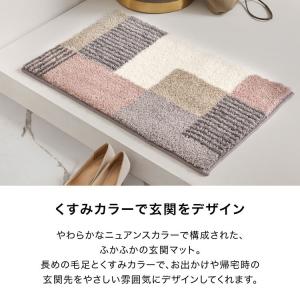 玄関マット 水洗い可 小さめ 柄 ミニ 長方形...の詳細画像3