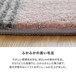 玄関マット 水洗い可 小さめ 柄 ミニ 長方形...の詳細画像5