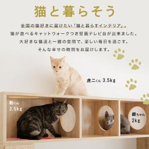 テレビ台 ハイタイプ 猫家具 AVラック 18...の詳細画像5