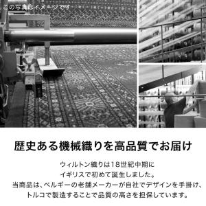 ラグ カーペット ラグマット 冬 厚手 床暖房...の詳細画像5