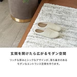 玄関マット 玄関ラグ おしゃれ 60×110 ...の詳細画像2