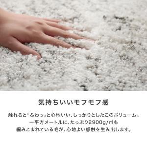 玄関マット 玄関ラグ おしゃれ 60×110 ...の詳細画像5
