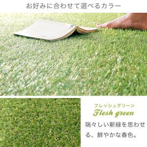 人工芝 ロール 人工芝生 幅2m×長さ10m ...の詳細画像1