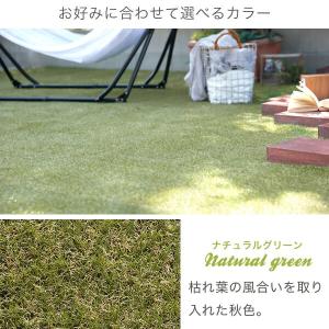 人工芝 ロール 人工芝生 幅2m×長さ10m ...の詳細画像2