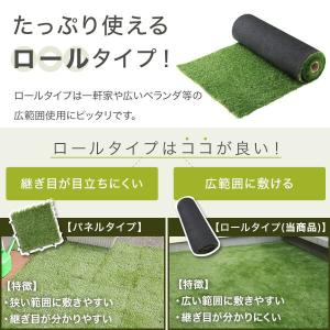 人工芝 ロール 人工芝生 幅2m×長さ10m ...の詳細画像3