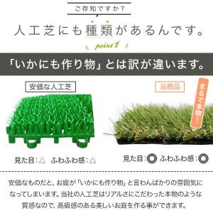 人工芝 ロール 人工芝生 幅2m×長さ10m ...の詳細画像4