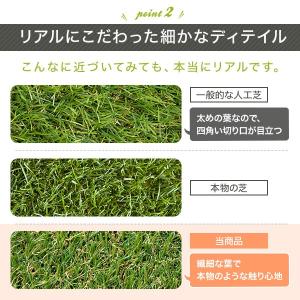 人工芝 ロール 人工芝生 幅2m×長さ10m ...の詳細画像5