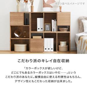 収納棚 おしゃれ カラーボックス 扉付き キャ...の詳細画像2