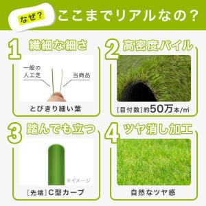 人工芝 ロール 1m×10m ロールマット 人...の詳細画像2