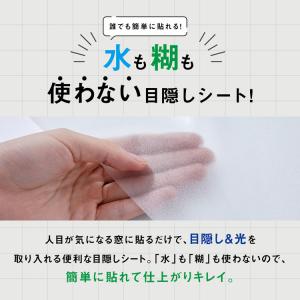 窓 目隠しシート 窓ガラスフィルム 目隠し フ...の詳細画像2
