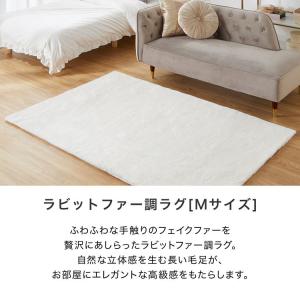 ラグ ラグマット カーペット 厚手 かわいい ...の詳細画像1