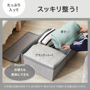 衣装ケース 収納ケース 収納ボックス 収納 ボ...の詳細画像4