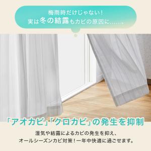 レースカーテン 抗カビ 結露防止 ミラーレース...の詳細画像3