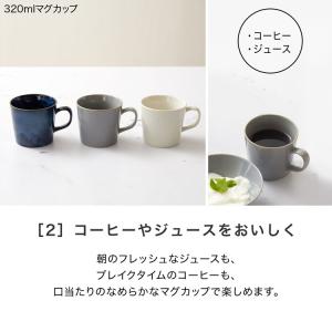 食器 5点セット 美濃焼 皿 マグカップ プレ...の詳細画像5
