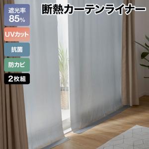 断熱カーテンライナー 遮熱タイプ 100x140cm 2枚入 Sカン入 冷気・熱気カット UVカット 抗菌 防カビ グレー ロウヤ LOWYA｜LOWYA(ロウヤ)Yahoo!ショッピング店