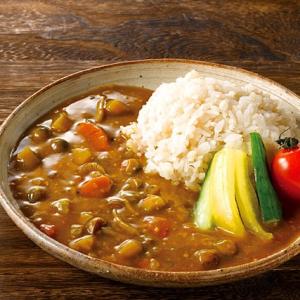 まとめ買い 18種国産具材のノンオイルカレー120g×12袋