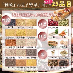 【アウトレット】賞味期限2026/11/17 ...の詳細画像2